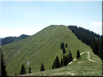 Seekarkreuz
